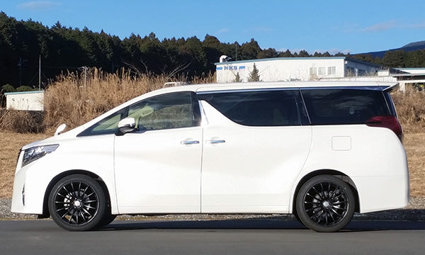 HKS HIPERMAX G. SERIES COILOVERS SUSPENSION TYPE FOR TOYOTA ALPHARD AYH30W 2AR-FXE(2AR-2JM) 80260-AT002