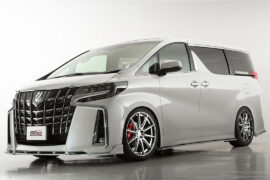 5ZIGEN D-EURO SPORT 19X8.5 +45 5-100 BLACK POLISH 5ZIGEN-00012