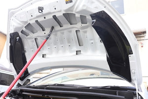 GARAGE VARY BONNET DUCT RAIN GUARD SET PLAIN CARBON FOR TOYOTA GR YARIS GXPA16 10 30-8022