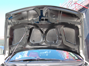 TOP FUEL CARBON BONNET FOR HONDA CIVIC FD2