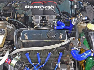 LAILE BEATRUSH ENGINE FASHION PLATE PLANE For ROVER MINI XN12 C140032FPA