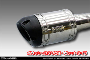 WIRUS WIN D-PRIME MUFFLER EXHAUST POLISH STAINLESS STEEL SPECIFICATION BILLET TYPE FOR DAIHATSU HIJET TRUCK V-S100P V-S100C V-S100CT V-S110P V-S110C V-S110CT EF-NS EF-GS WIRUS-WIN-00031