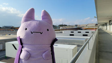 INGING MOTORSPORT MAMONO SAN STUFFED ANIMAL THAT LIVES ON THE CIRCUIT FOR  INGING-MOTORSPORT-00011