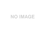 SPOON LSD OVERHAUL SET FOR HONDA CIVIC FK FL L15C 41000-FK7-S01