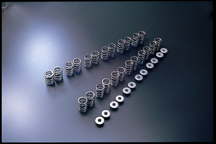 TOMEI VALVE SPRING B-TYPE  For NISSAN R33 RB25 163022
