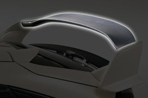 VARIS ARISING-I REAR WING FLAP CARBON FOR HONDA CIVIC TYPE R FK8 VAHO-015C